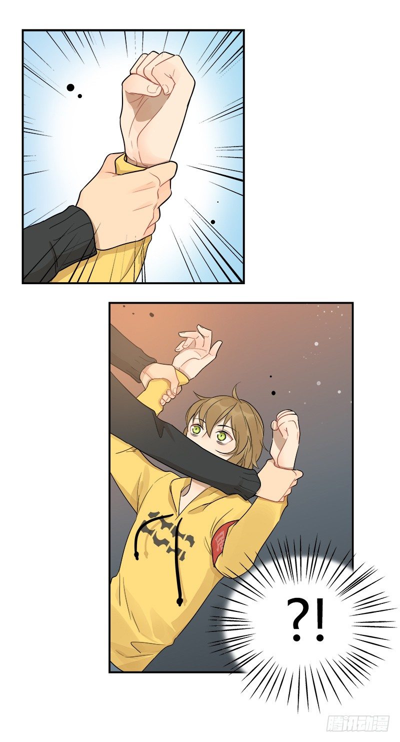 第037话 我一定会找到你-第38话