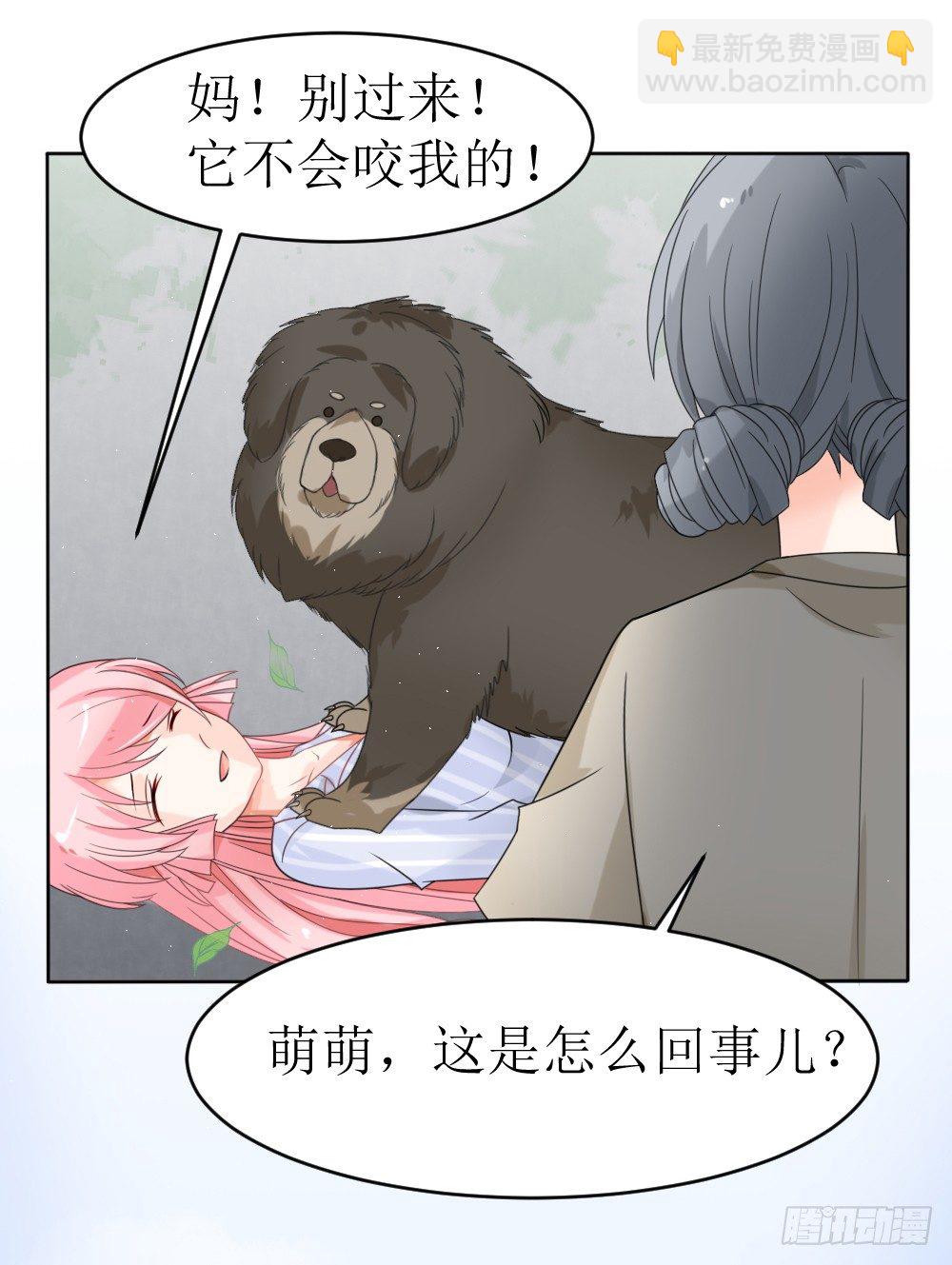 第15话 被狗毁掉的美好生活！-第18话