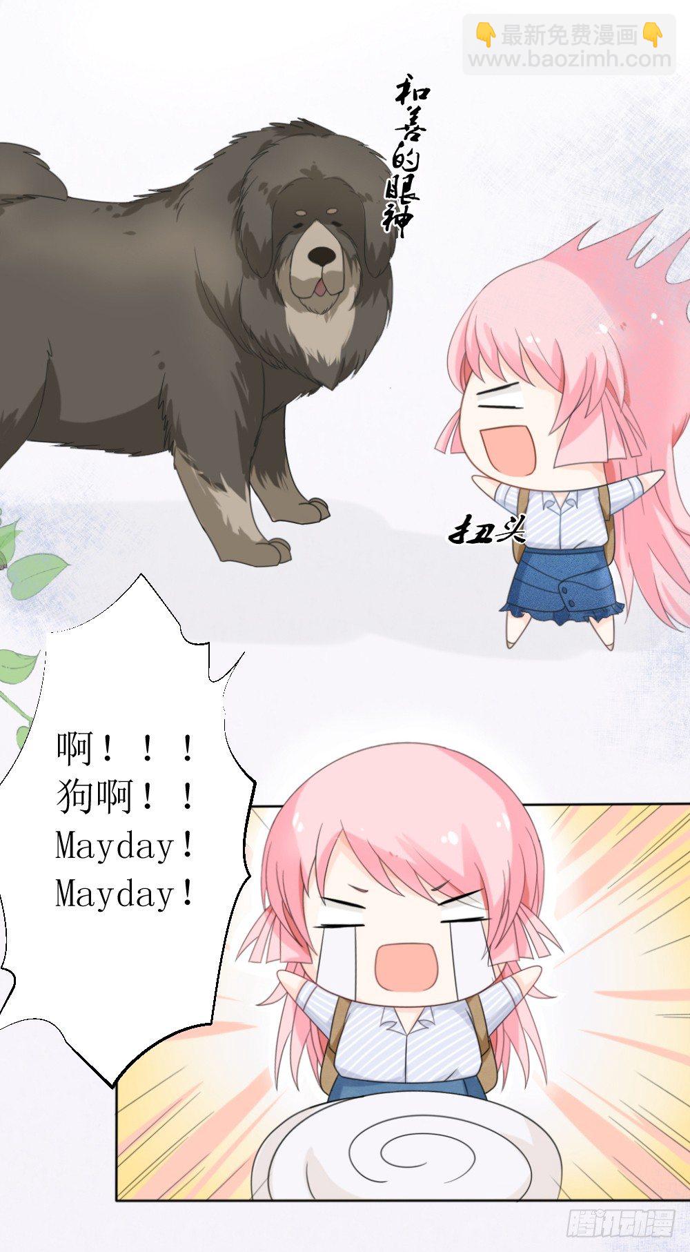 第15话 被狗毁掉的美好生活！-第18话