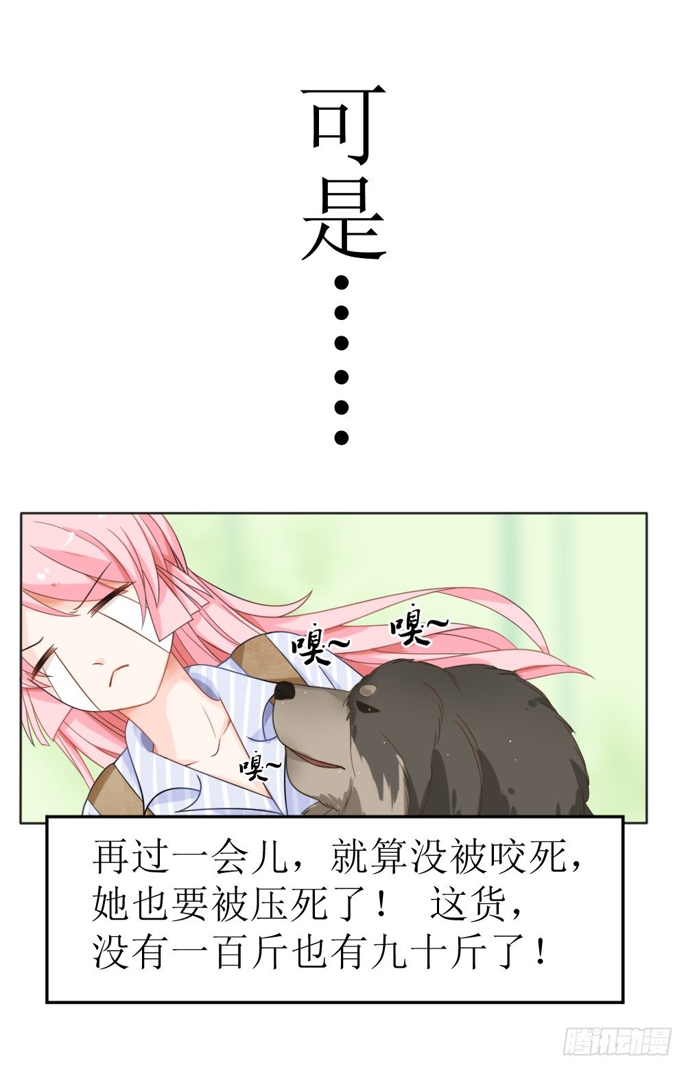 第15话 被狗毁掉的美好生活！-第18话