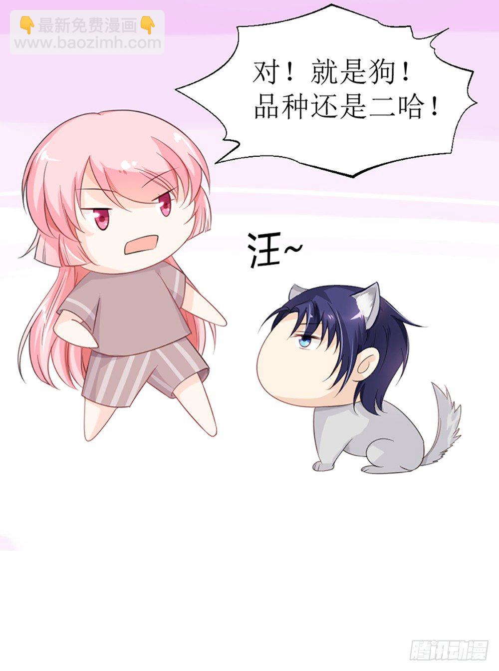 第19话 夫人，又脑抽了？-第22话