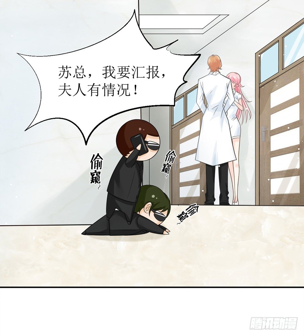 第六话 报告苏总，夫人有情况！-第6话