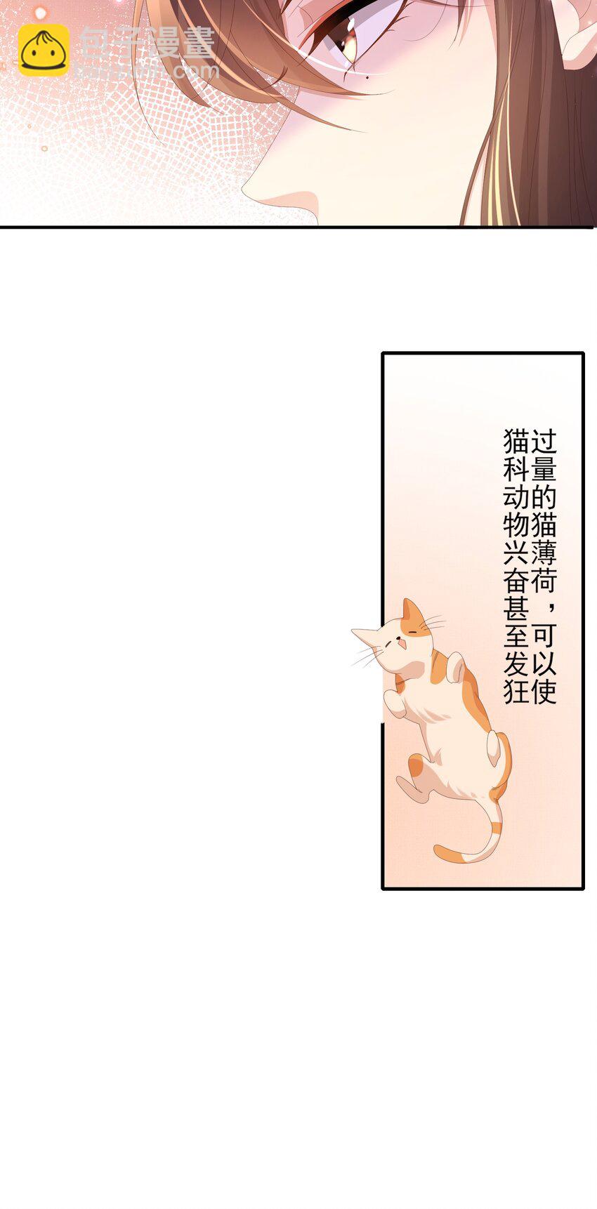 第134话 这个傻瓜(1/2)-第138话