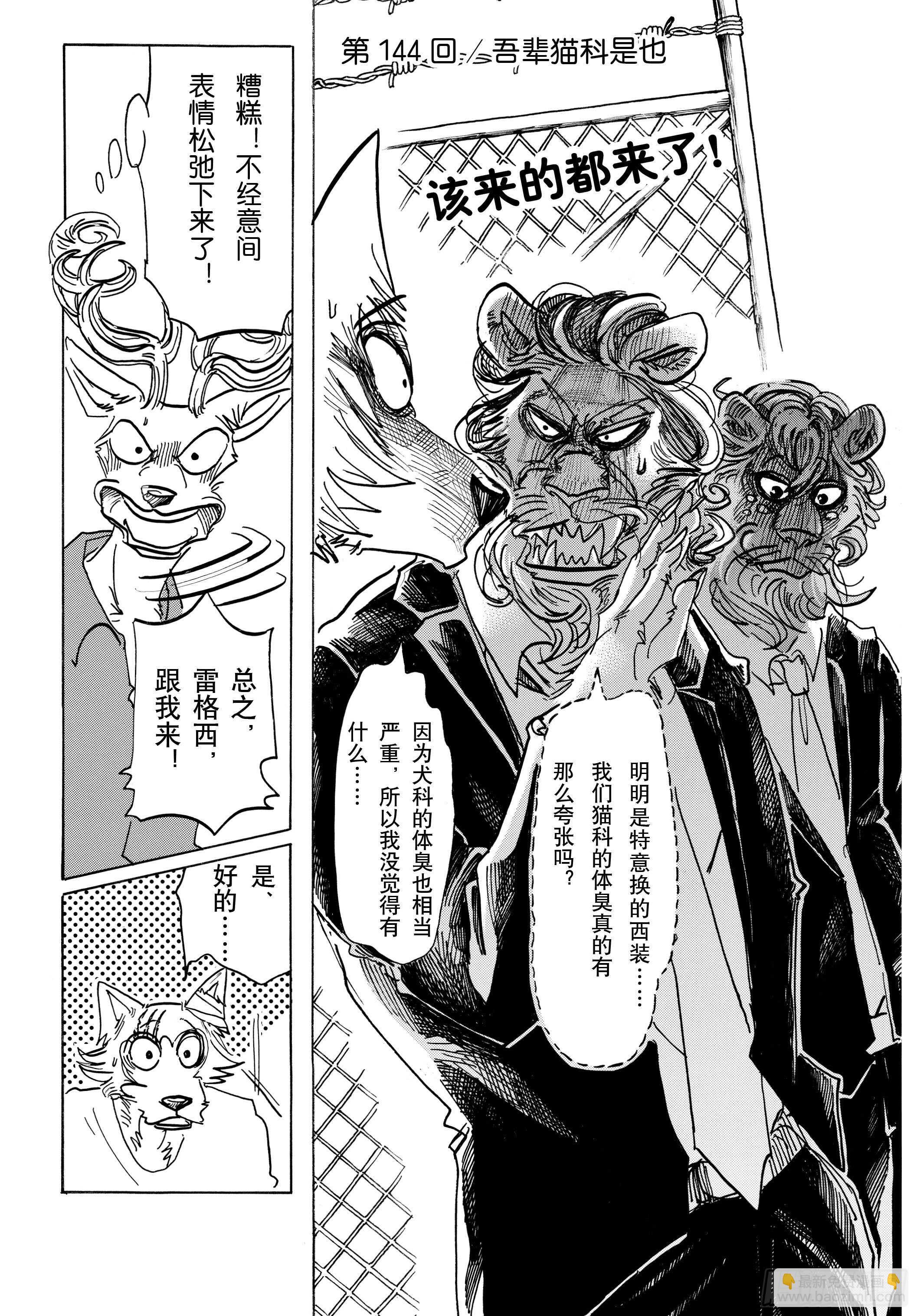 第144话 吾辈猫科是也-第144话