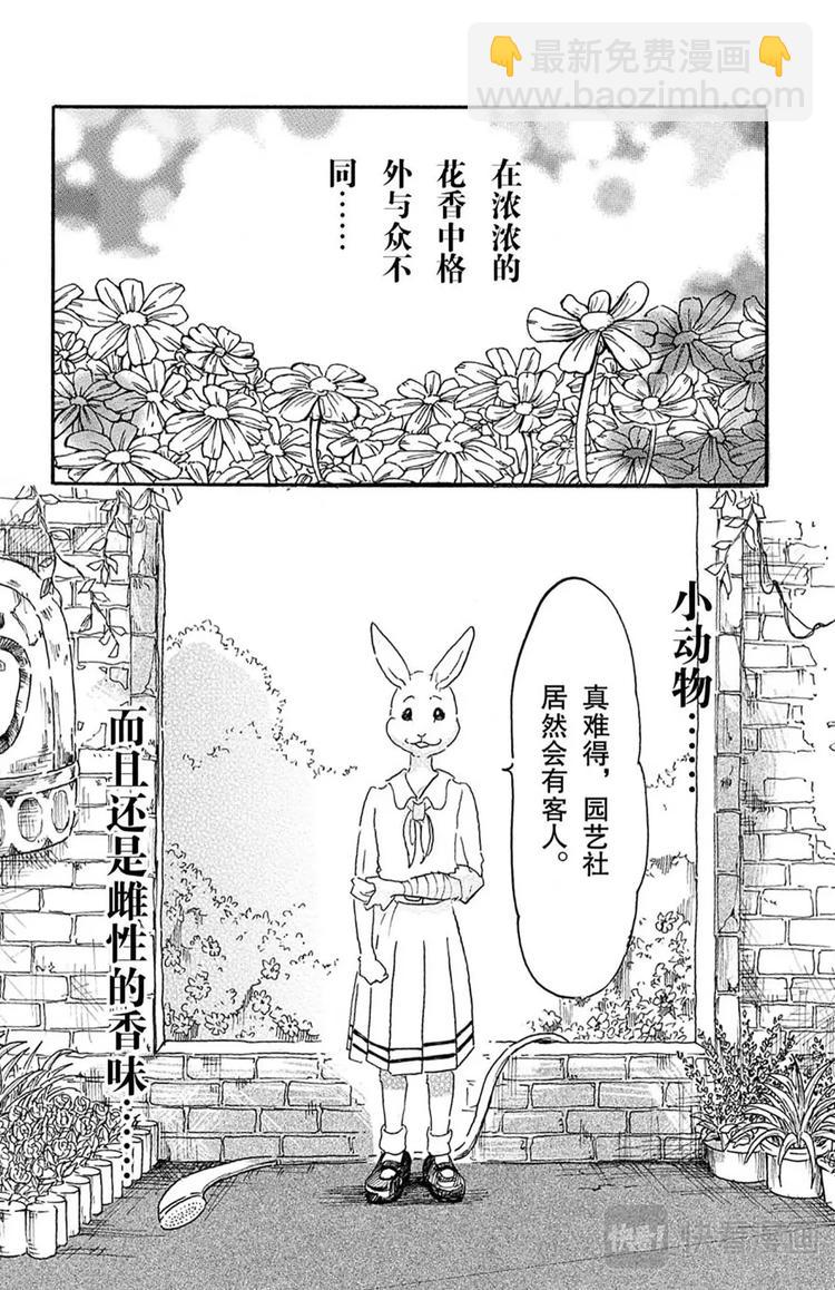 第8话 教母的叹息-第8话