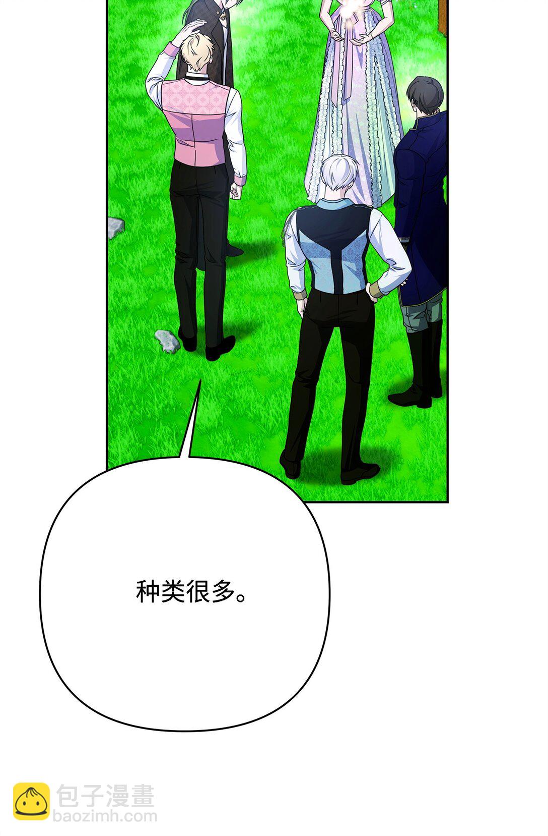 54 安全区与妖精石(1/3)-第54话