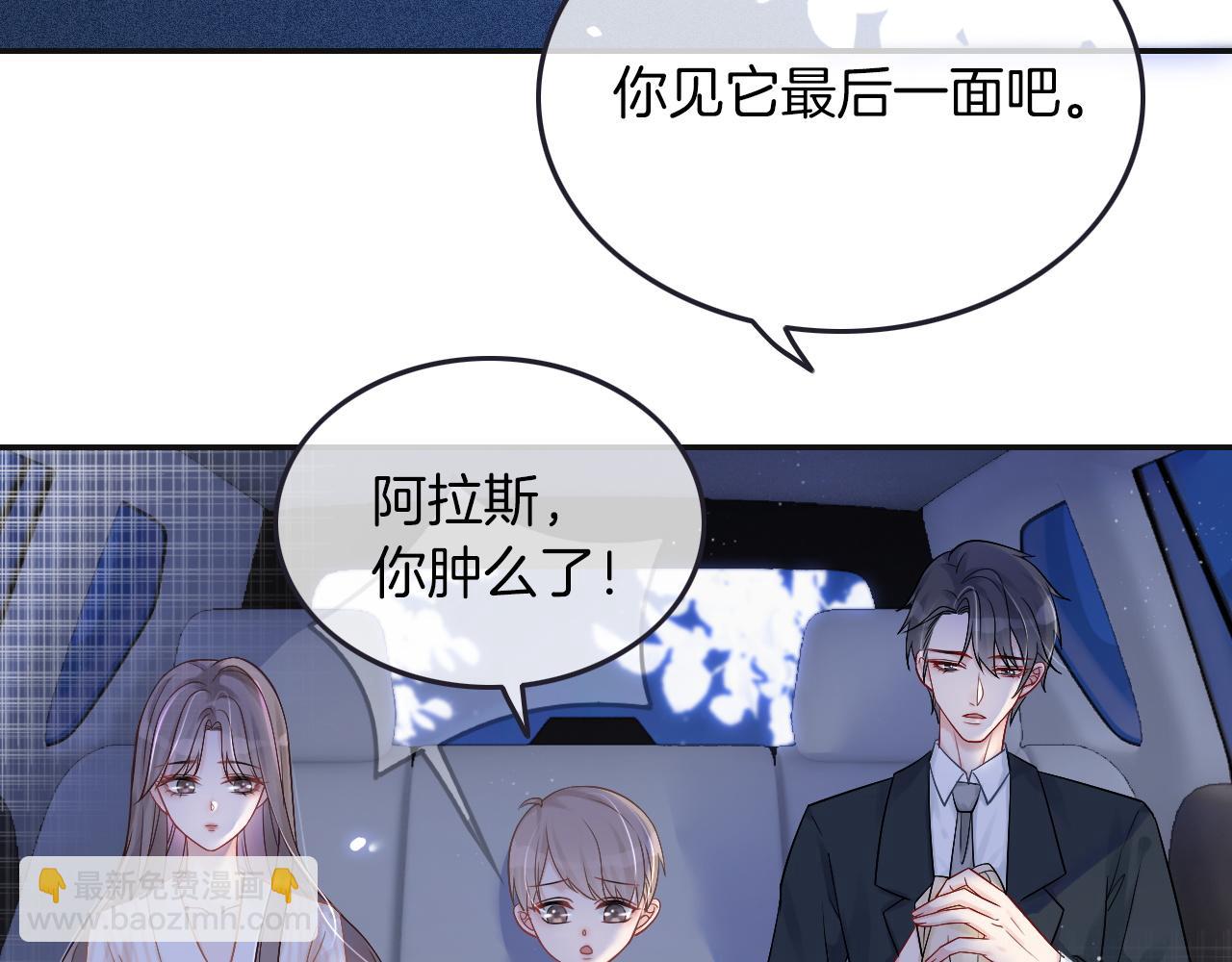 被大佬們團寵後我野翻了 - 第2話 帶你回家(2/2) - 4