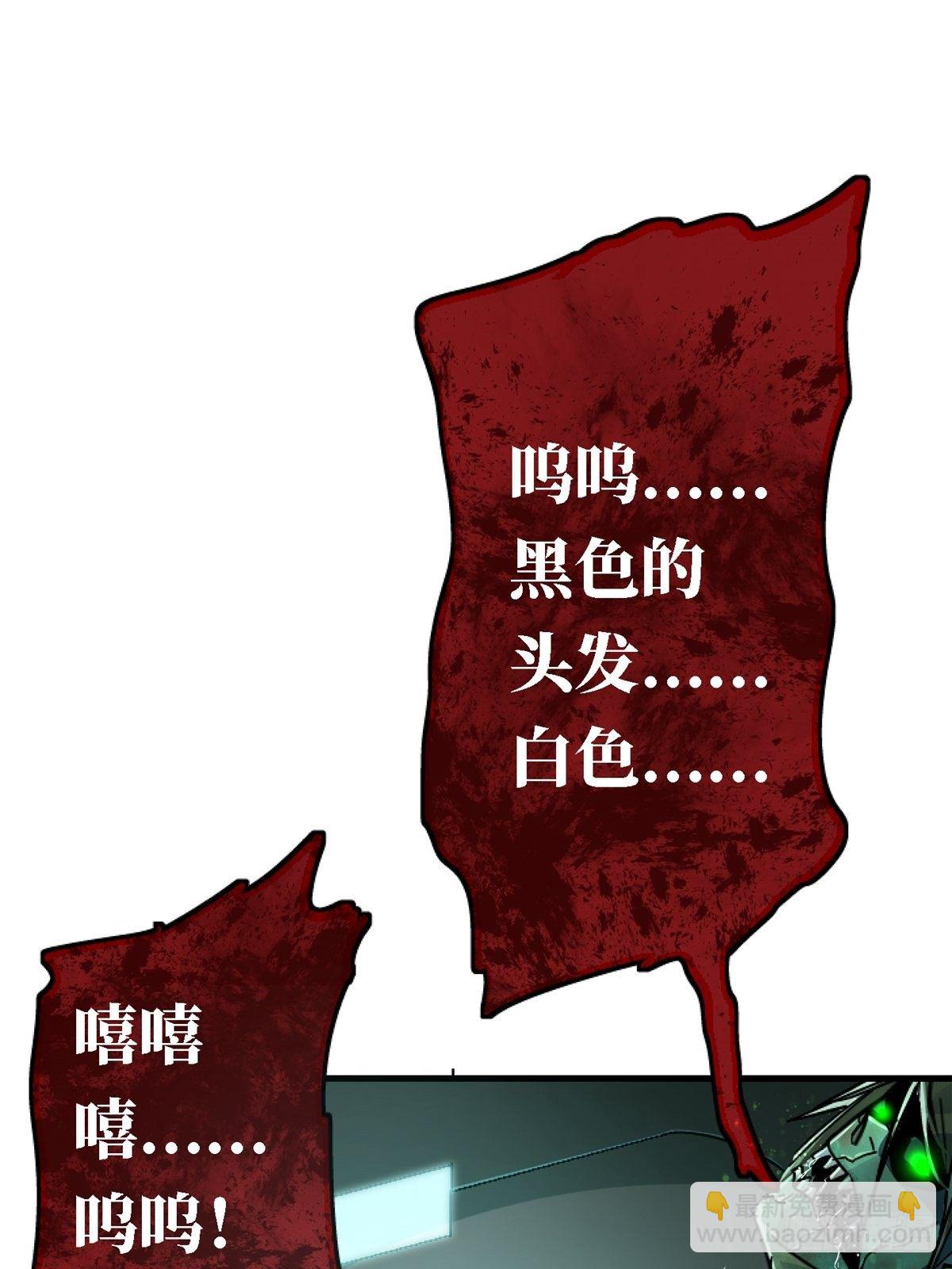 41.影(1/2)-第44话