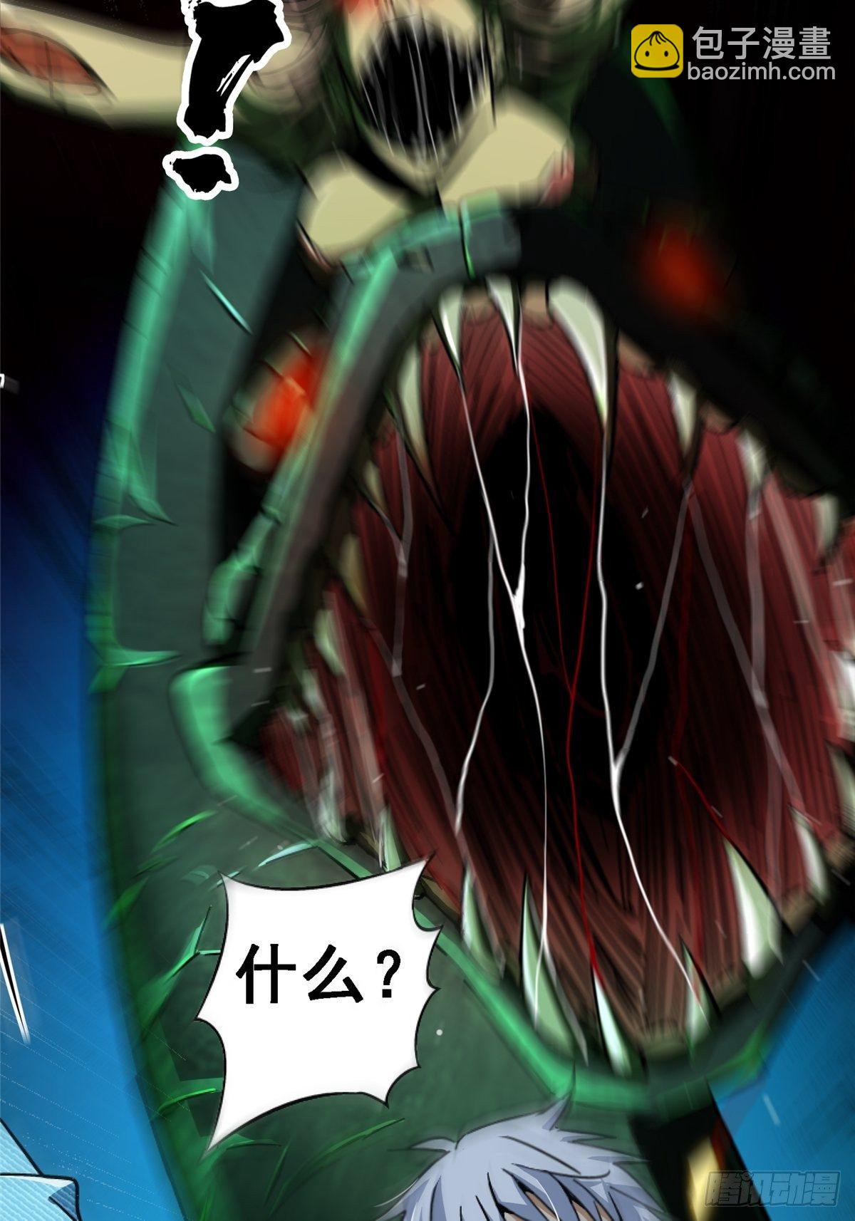 41.影(1/2)-第44话