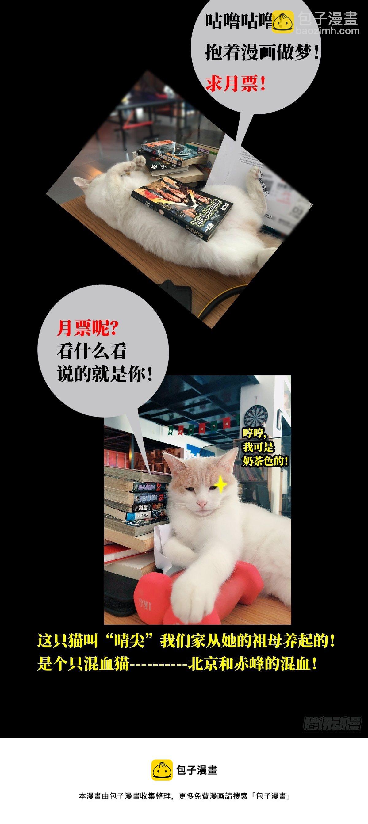 通知.元旦更新下一回-第52话