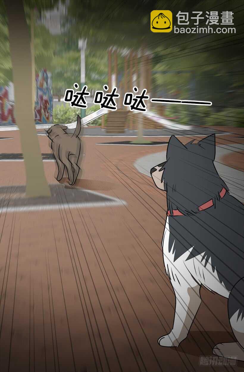 被廢棄的皇妃 - 奇特的樹 - 2