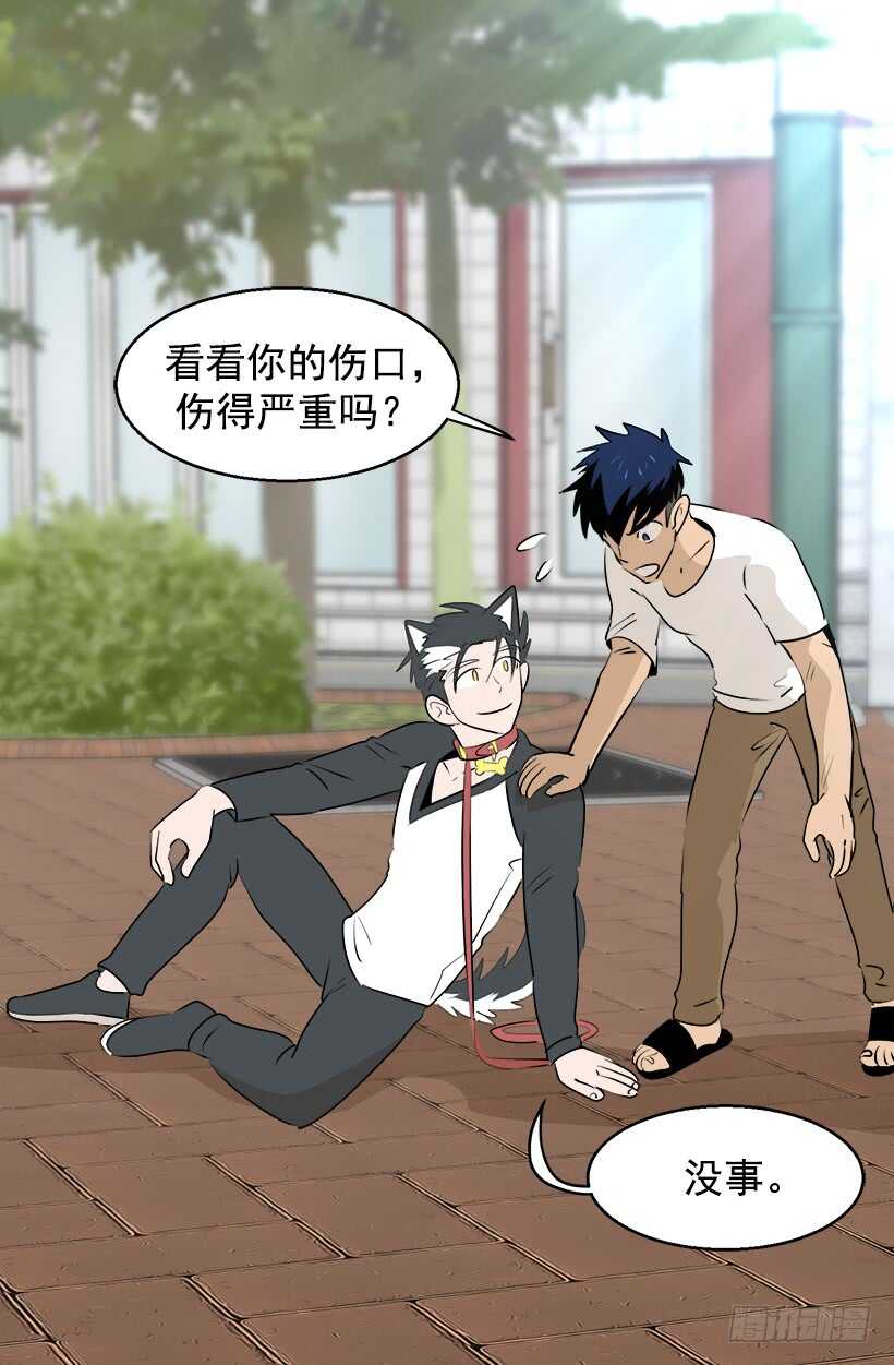 被廢棄的皇妃 - 奇特的樹 - 4