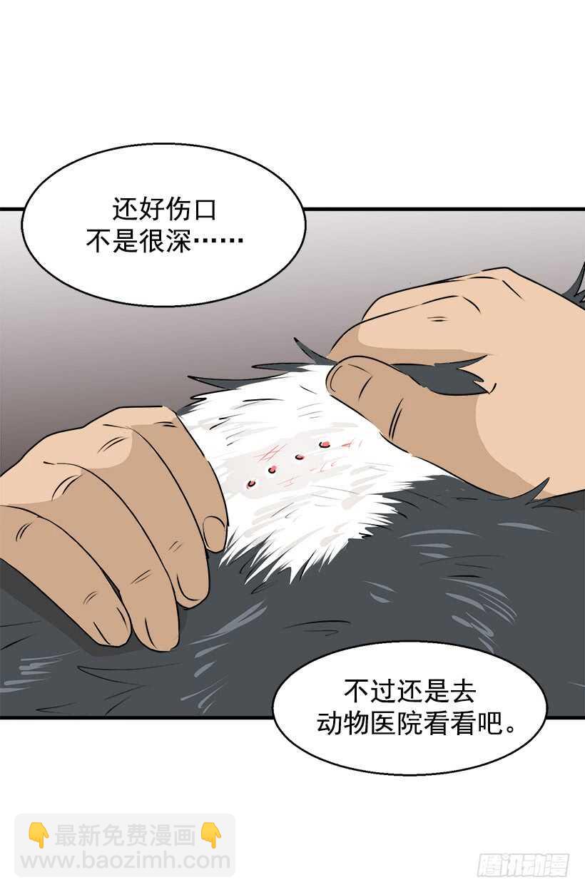 被廢棄的皇妃 - 奇特的樹 - 5