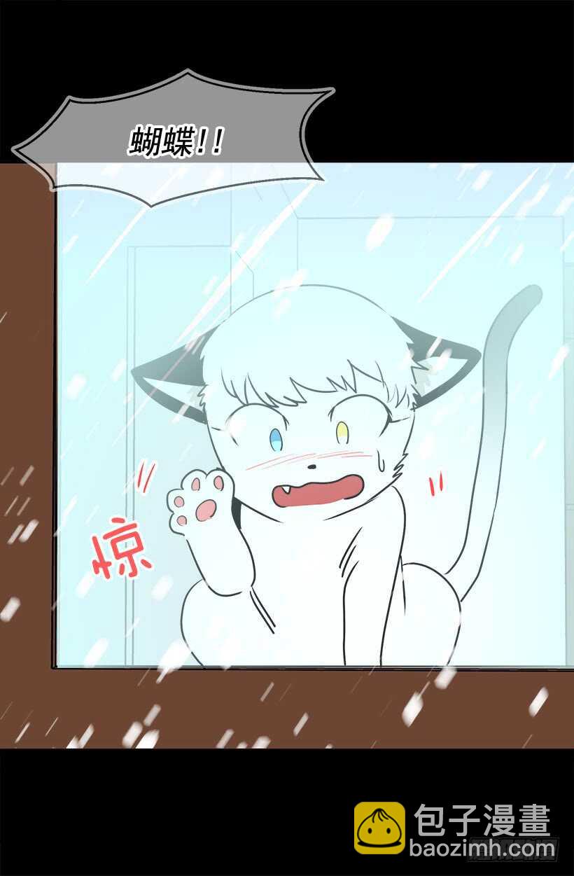 被廢棄的皇妃 - 常識 - 3