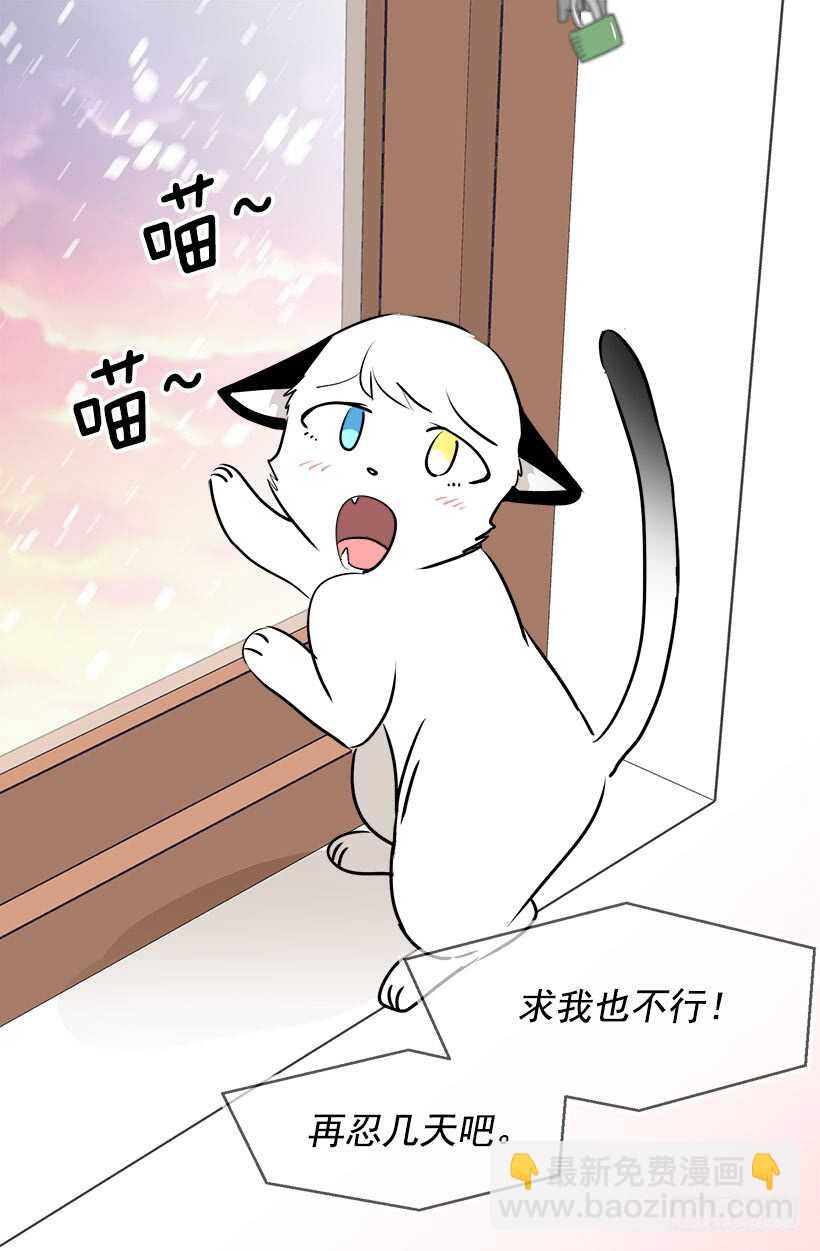 被廢棄的皇妃 - 常識 - 6