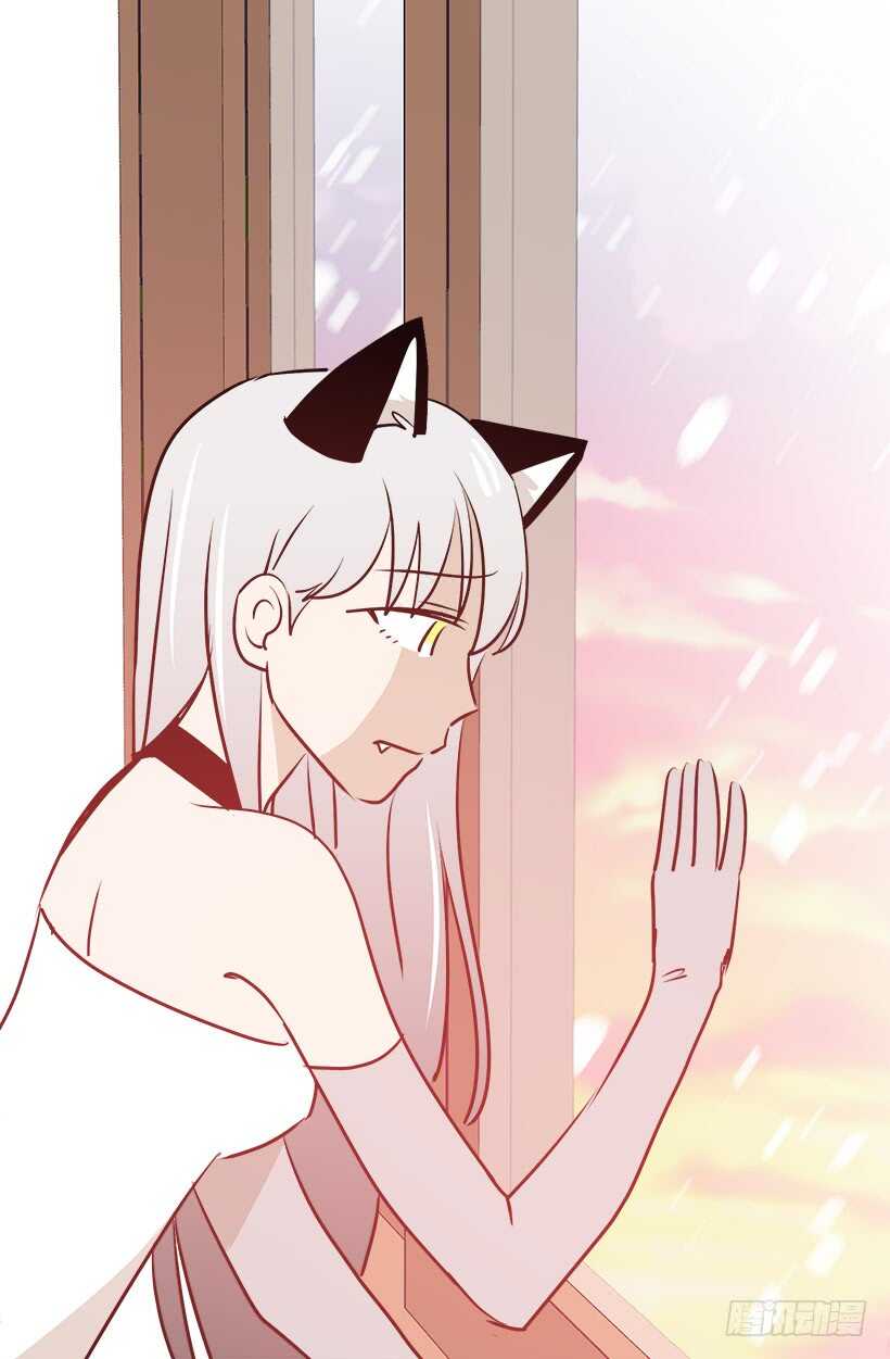 被廢棄的皇妃 - 常識 - 7