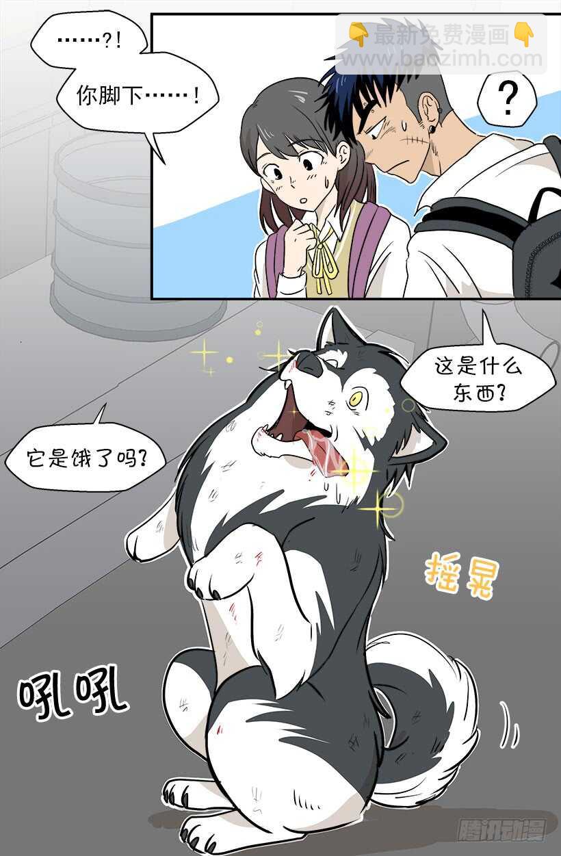 被廢棄的皇妃 - 貴重的禮物 - 3