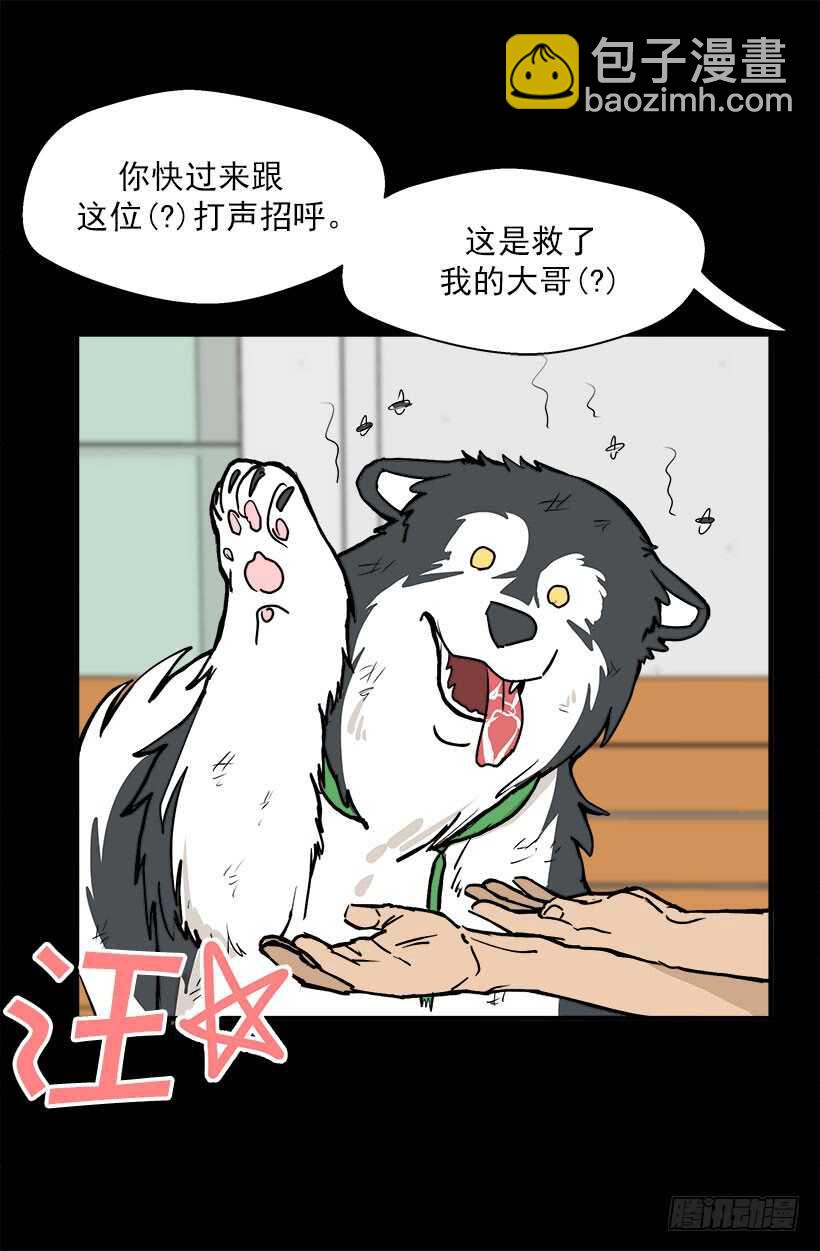 被廢棄的皇妃 - 宮裡的信 - 5