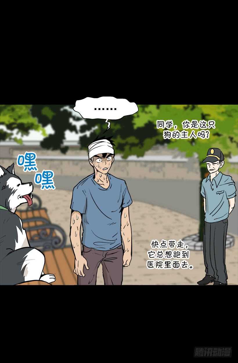 被廢棄的皇妃 - 宮裡的信 - 1