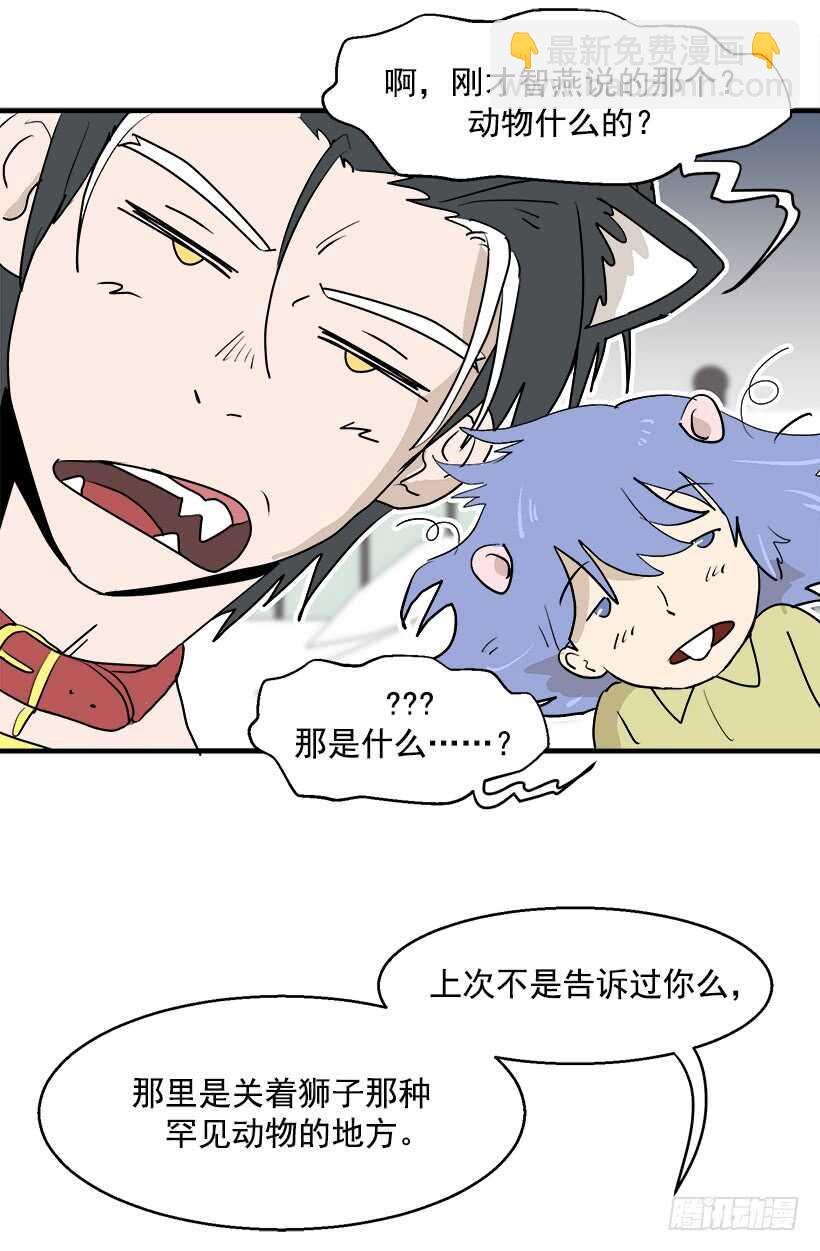 被廢棄的皇妃 - 第一位舞伴 - 5