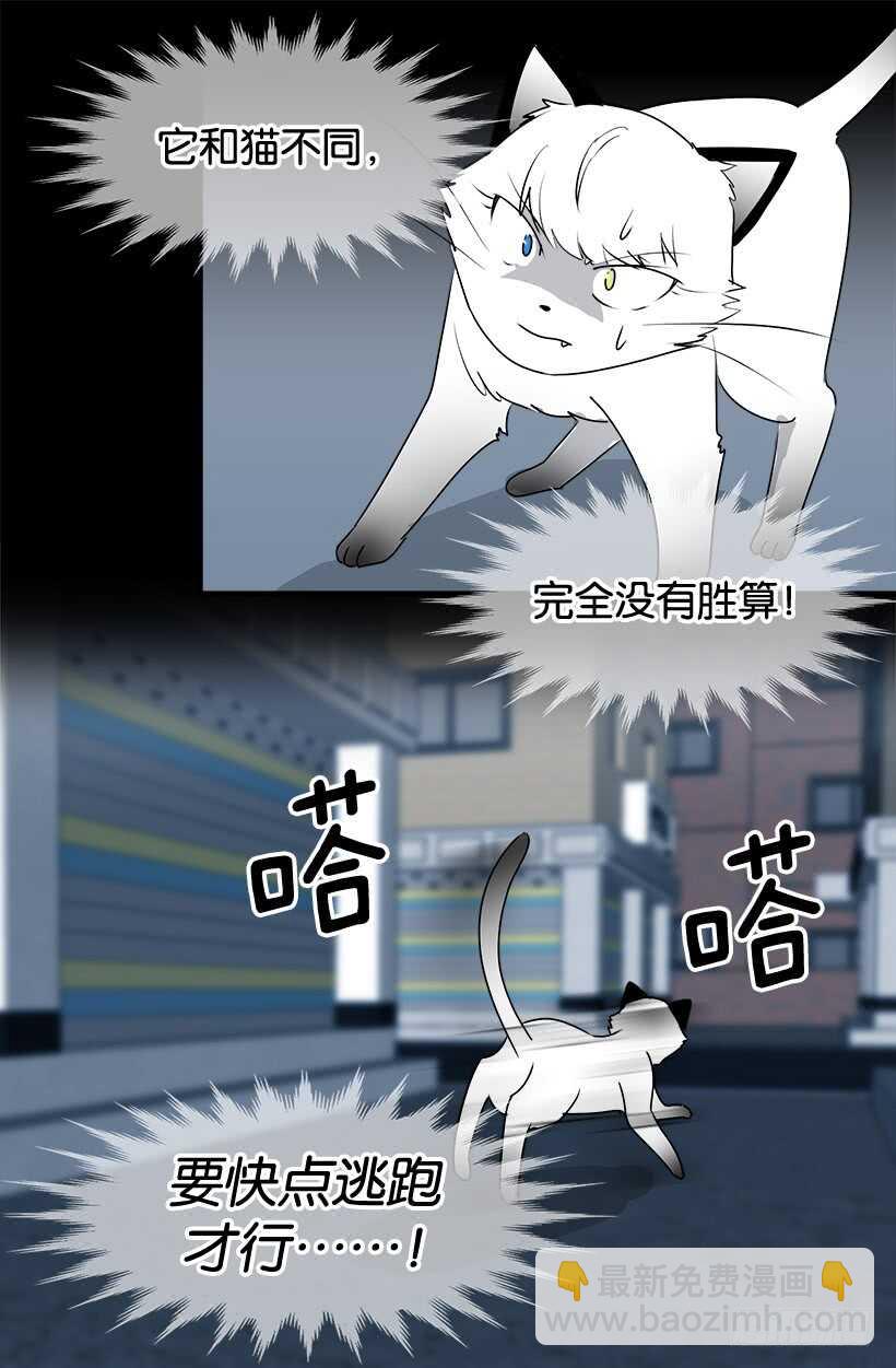 被廢棄的皇妃 - 第一季完結篇 - 5