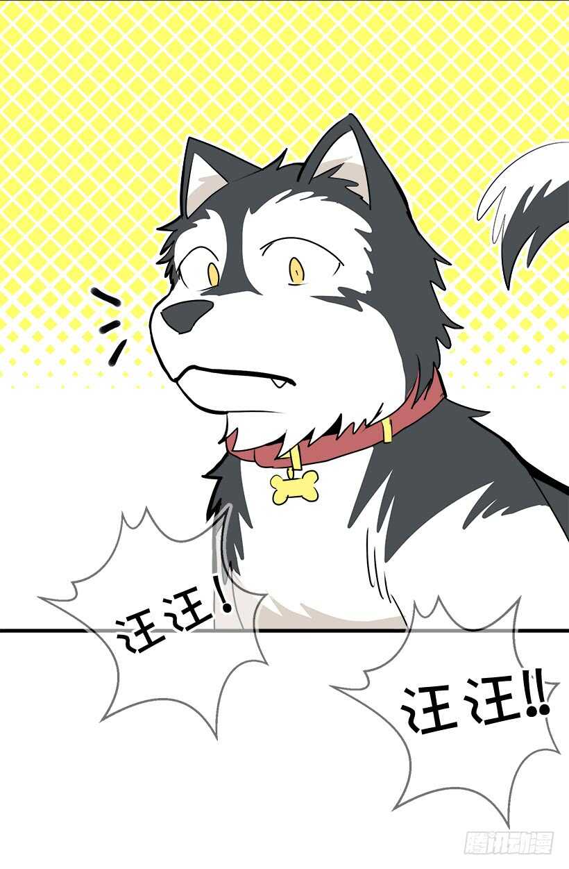 被廢棄的皇妃 - 意外發現秘密 - 3