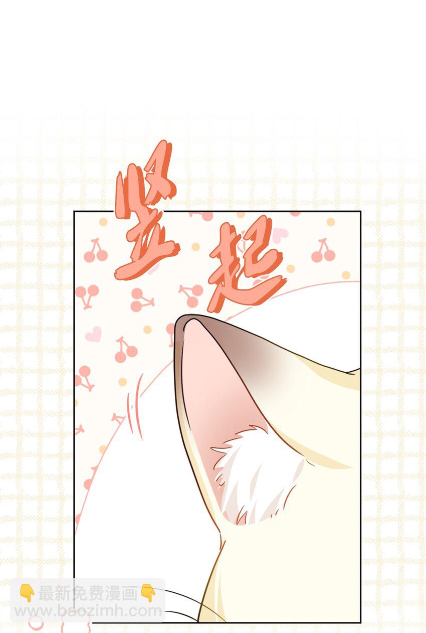 72 幸福的爱 大结局(1/2)-第78话