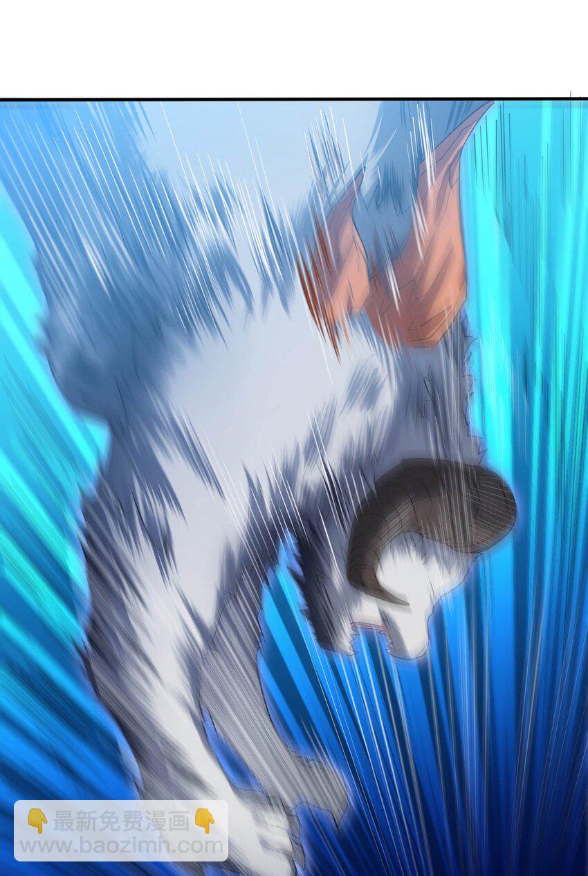 33 糖果独角猪-第38话