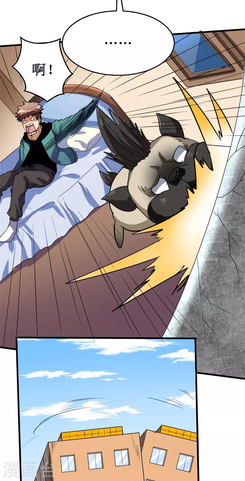 第13话 巴哥竟是灵兽？！-第14话