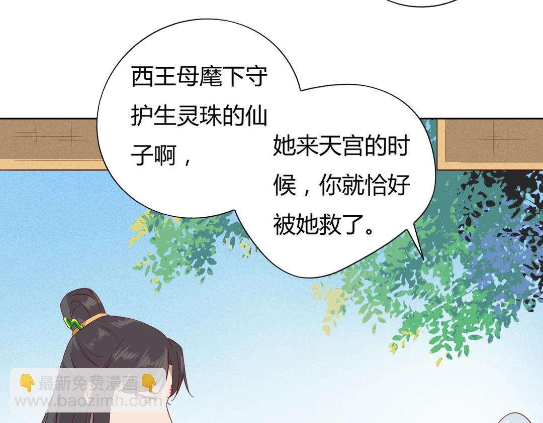 第146话 没有白小兔？(1/2)-第146话