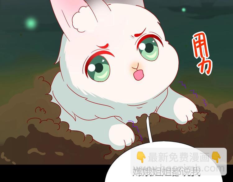 第26话 兔兔的方向感？(1/2)-第26话