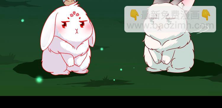 第26话 兔兔的方向感？(1/2)-第26话