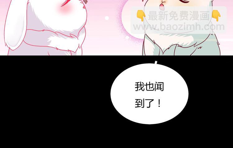 第26话 兔兔的方向感？(1/2)-第26话