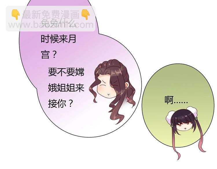 第34话 这看脸的兔啊(1/2)-第34话