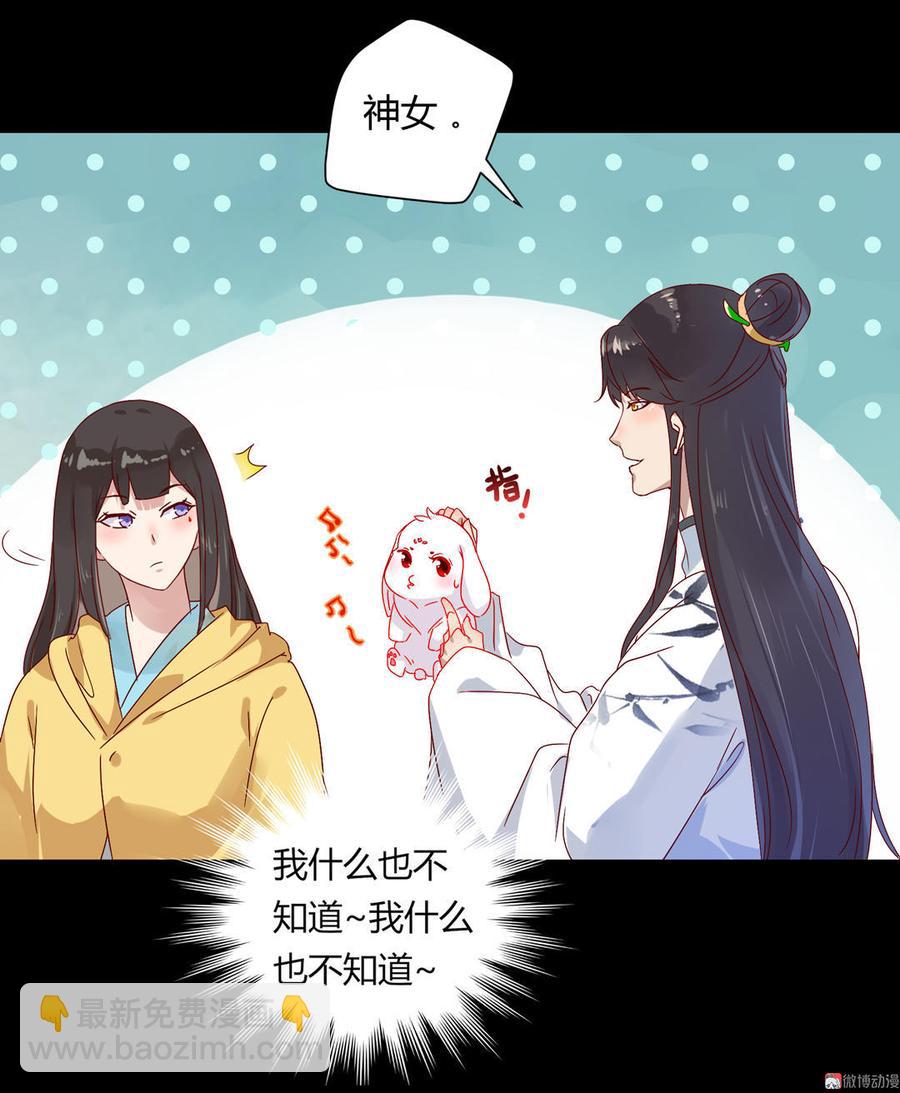 第62话 兔子果然适合圈养-第62话