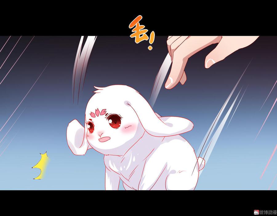 第62话 兔子果然适合圈养-第62话