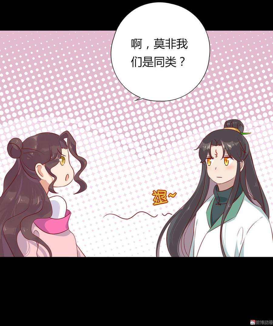 第98话 我只是想要我的兔子-第98话