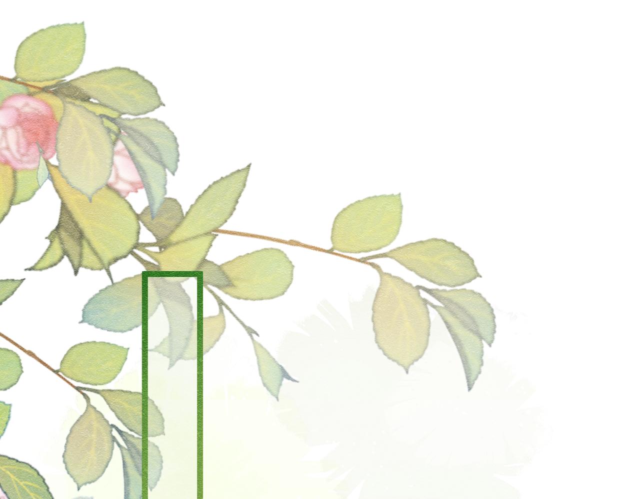 39 玛佩尔的新选择(1/3)-第40话