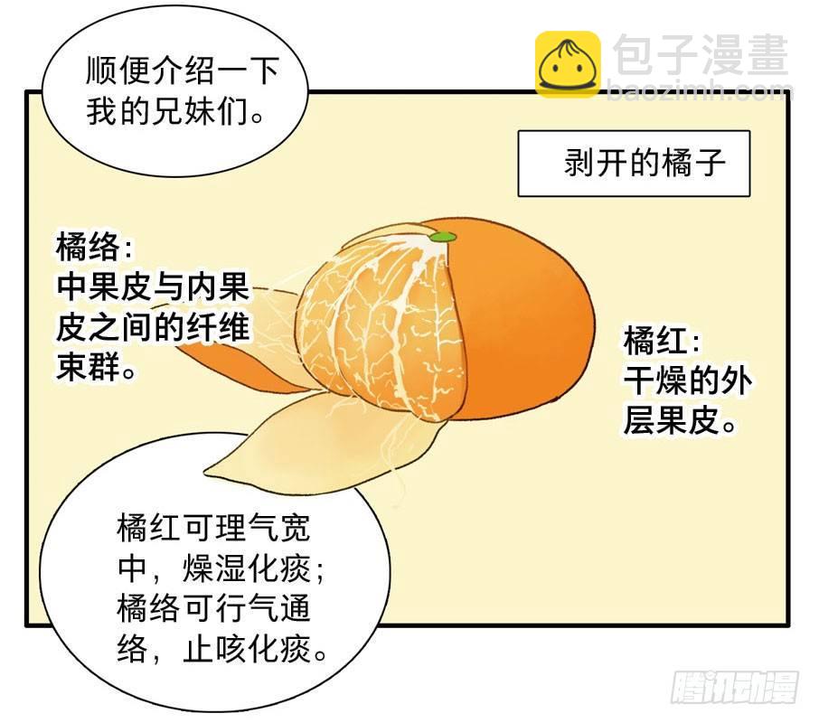 四格&middot;药精们的日常④(1/2)-第18话