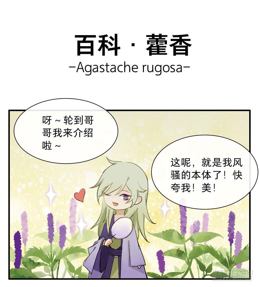 四格&middot;药精们的日常⑤(1/2)-第22话