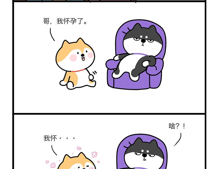 是不是太挤了-第20话