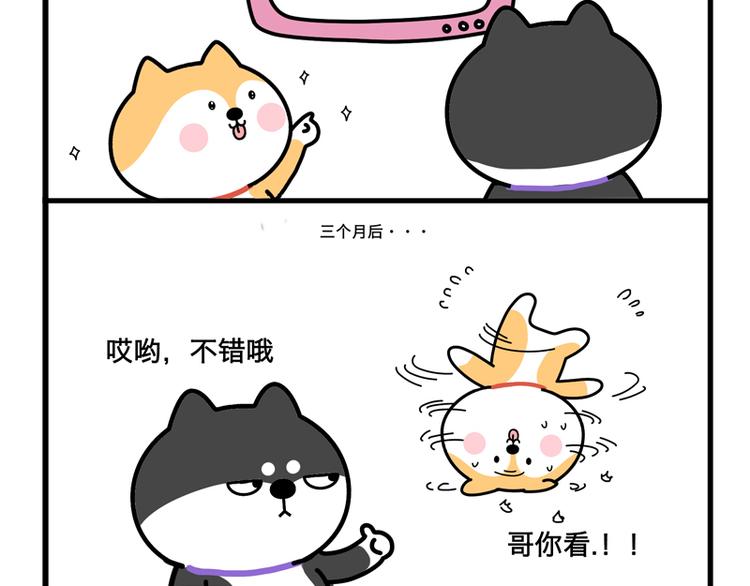 哥，我想学街舞-第28话