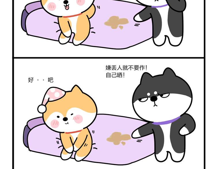 我带你转两圈-第30话