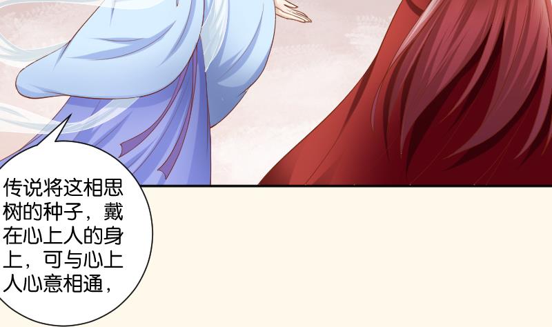 第205话 坠崖(1/2)-第206话