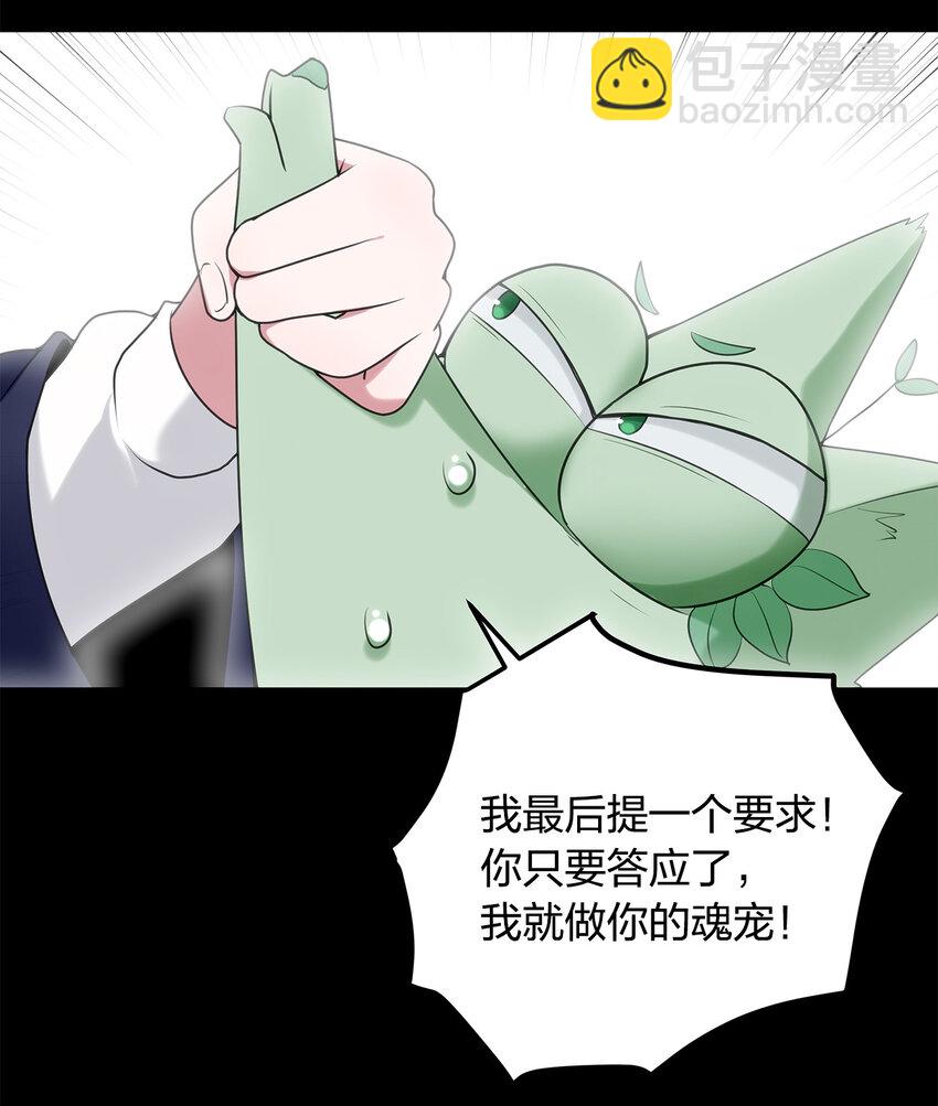 本聖女攤牌了 - 006 第二魂寵 - 1