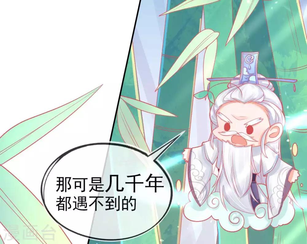 第14话 勉强拜师(1/2)-第16话