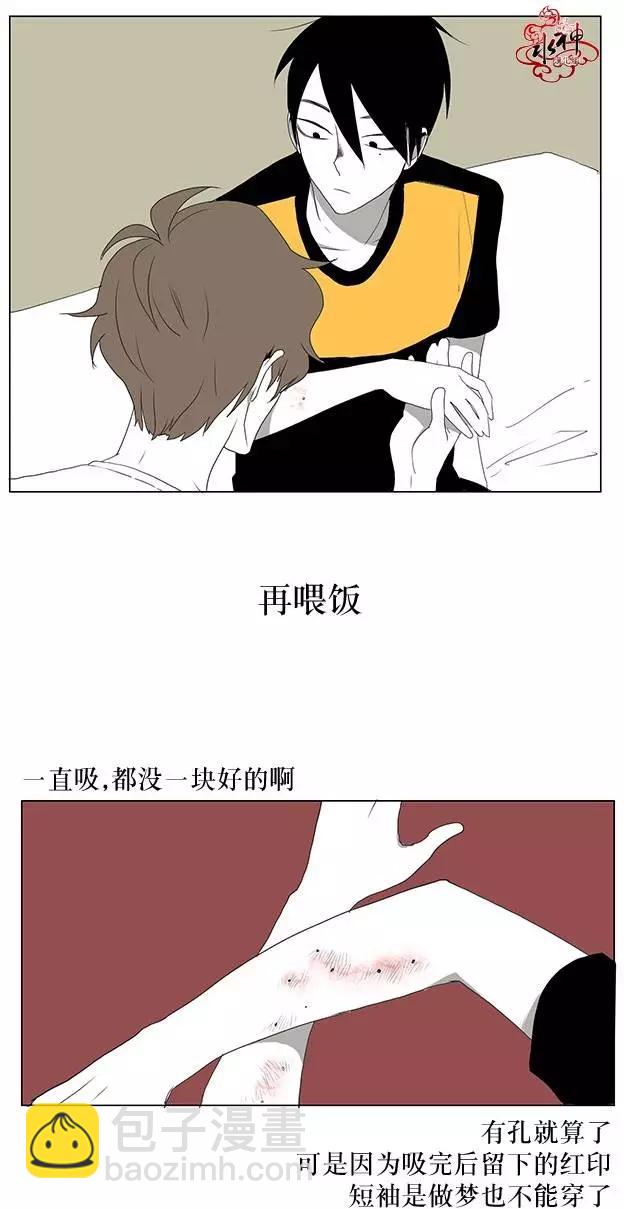 蝙蝠飼養記 - 第8回 - 4