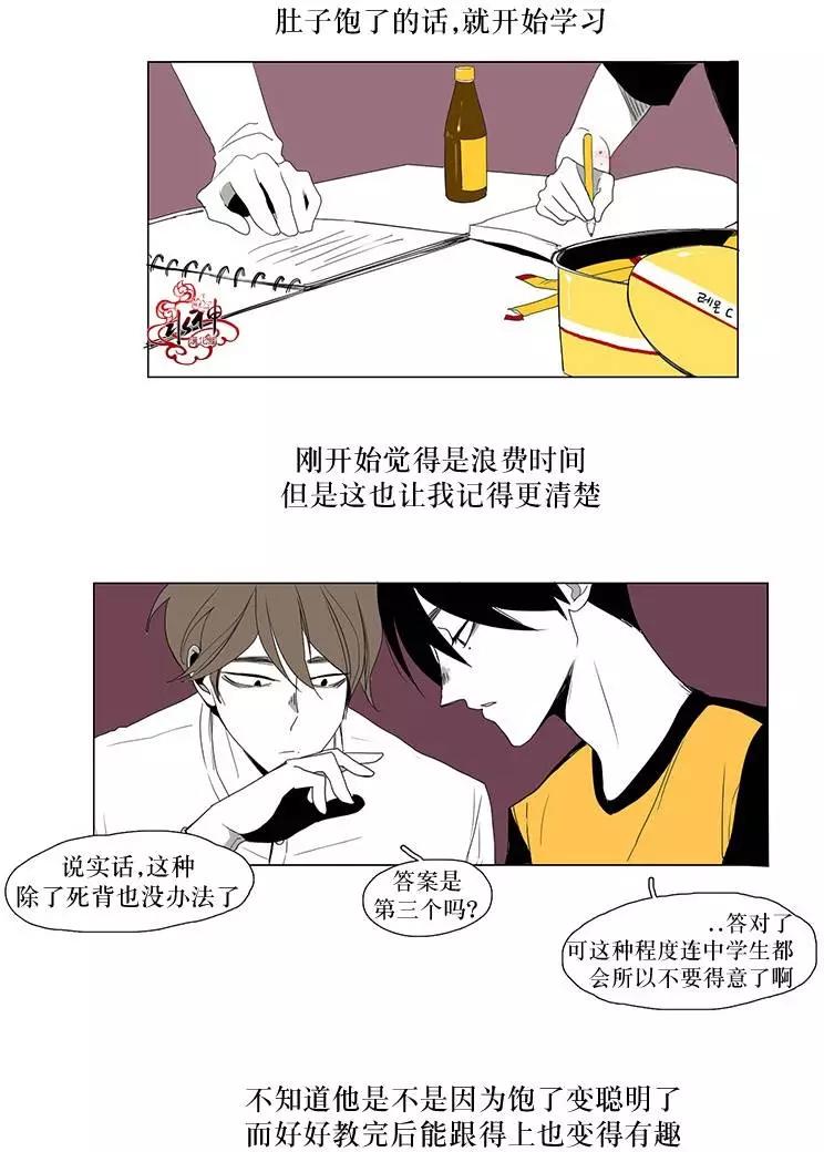 蝙蝠飼養記 - 第8回 - 5