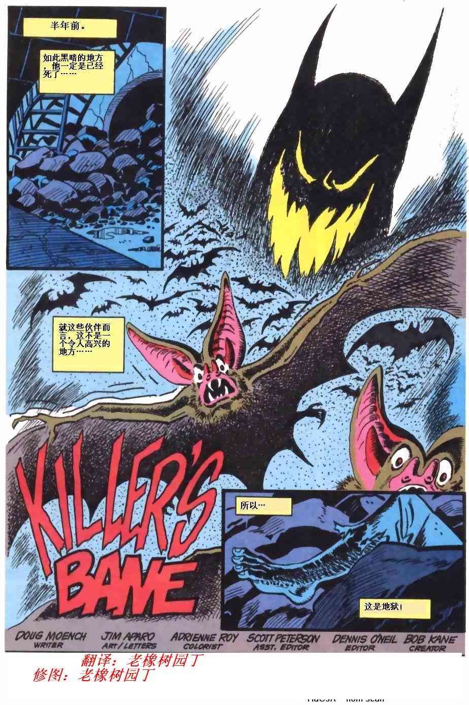 蝙蝠俠 - 第489卷 - 2