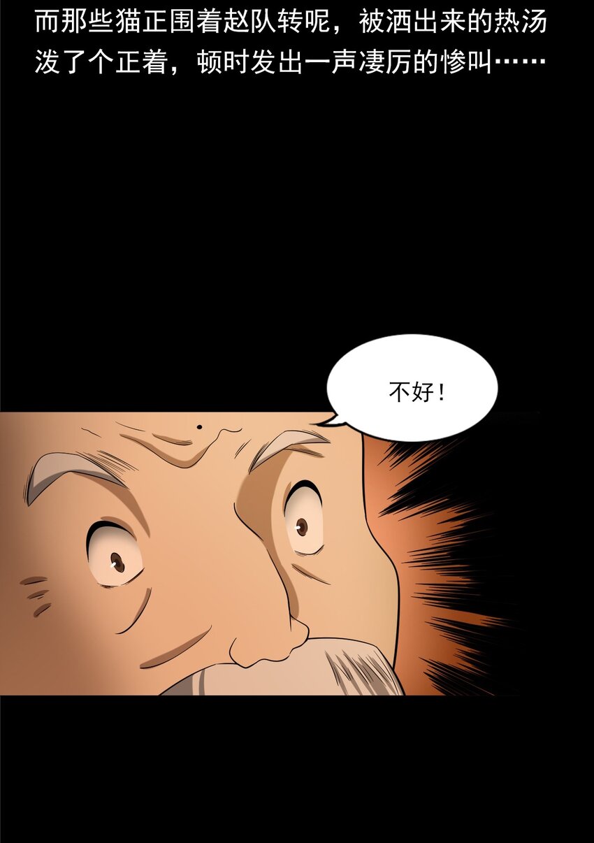 060 苗山猫妖(1/2)-第60话